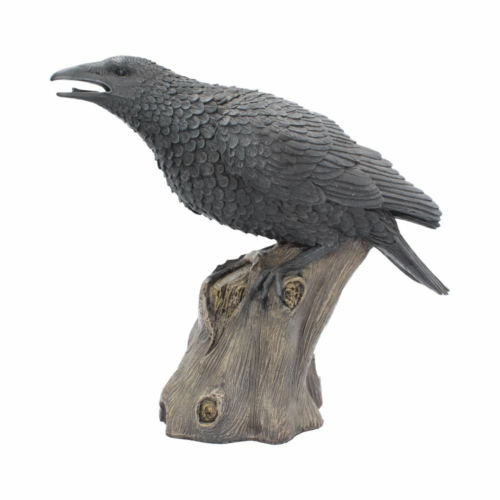 Raven Crow Black Bird Ornament Gothic Edgar Allan Poe Figurine Boxed Gift