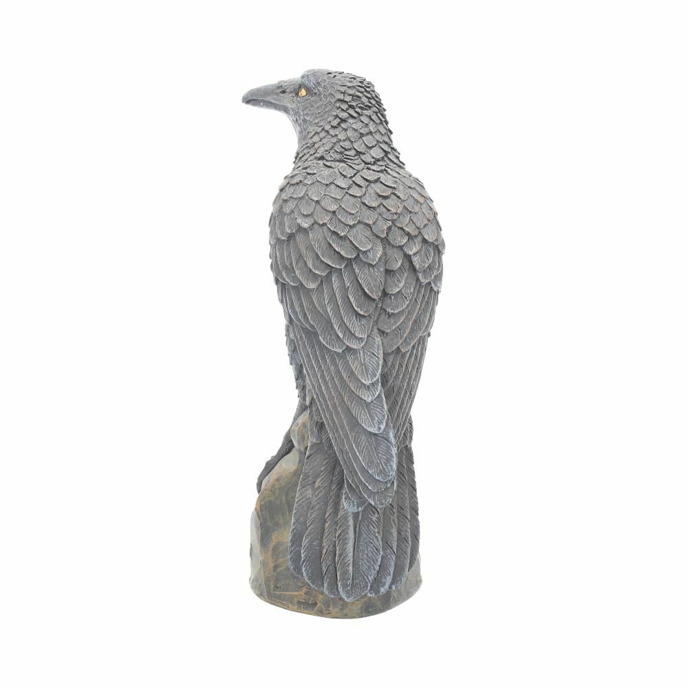 Raven Crow Black Bird Ornament Gothic Edgar Allan Poe Figurine Boxed Gift