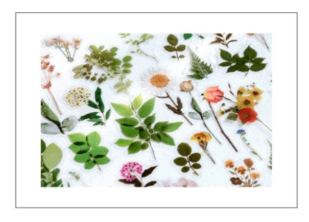 40 Piece Pack Scrapbook Cardmaking Decoupage Stickers Flowers Leaves Craft