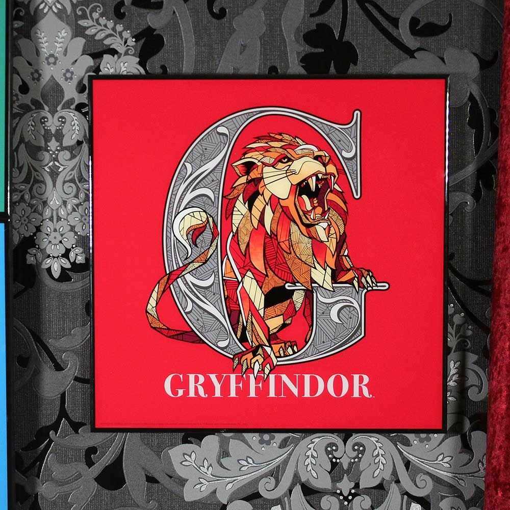 Licensed Harry Potter Crystal Clear Picture Wall Art Slytherin Ravenclaw 32cm
