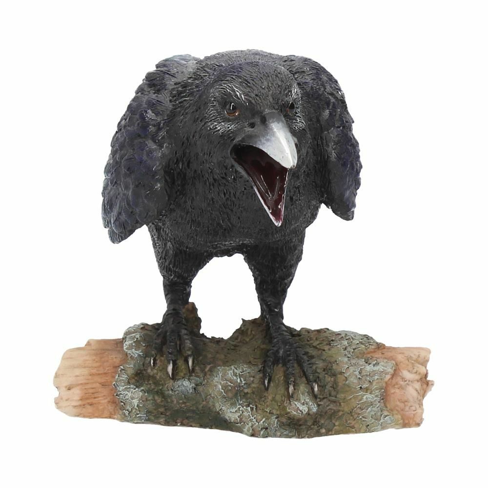 Raven Crow Black Bird Ornament Gothic Edgar Allan Poe Figurine Boxed Gift