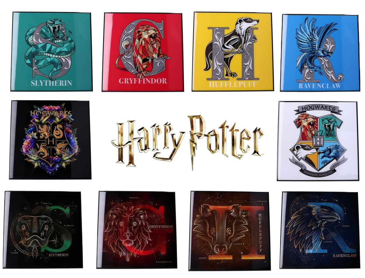 Licensed Harry Potter Crystal Clear Picture Wall Art Slytherin Ravenclaw 32cm