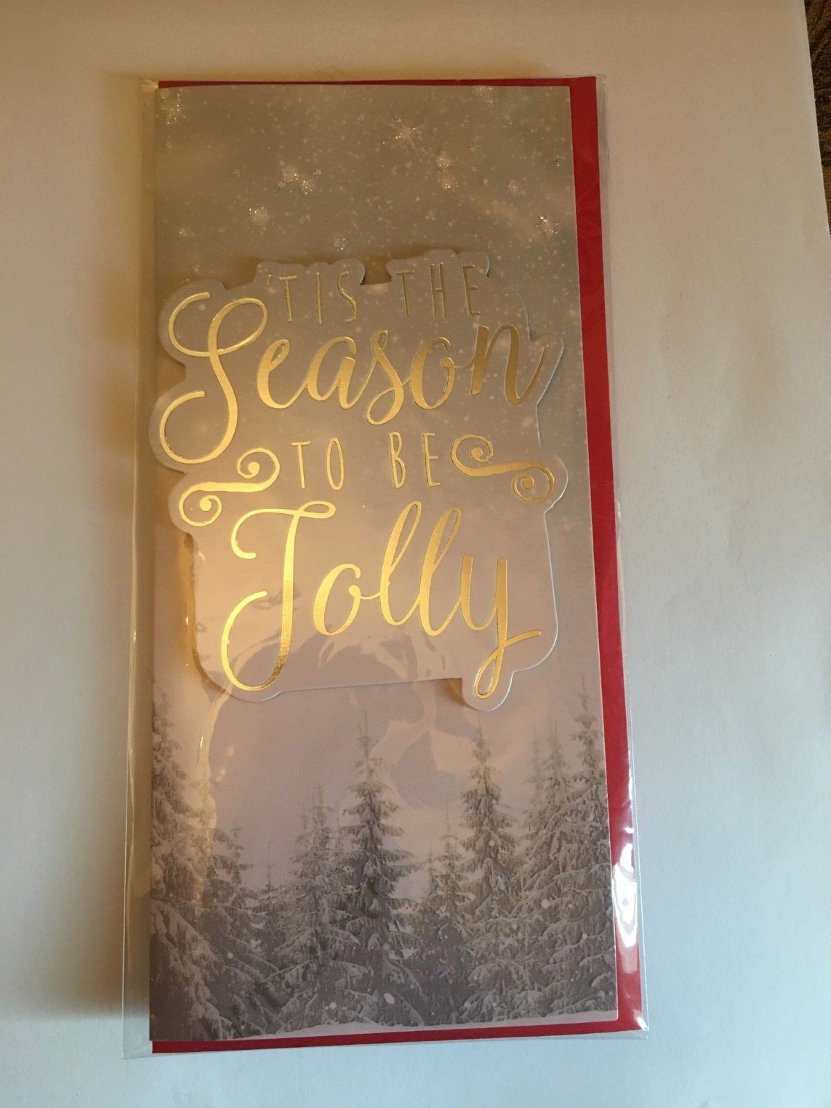 Luxury 3D Christmas Money Wallets Card Money Gift Vouchers Santa Reindeer Elf - Silver Tis the Season to Be Jolly