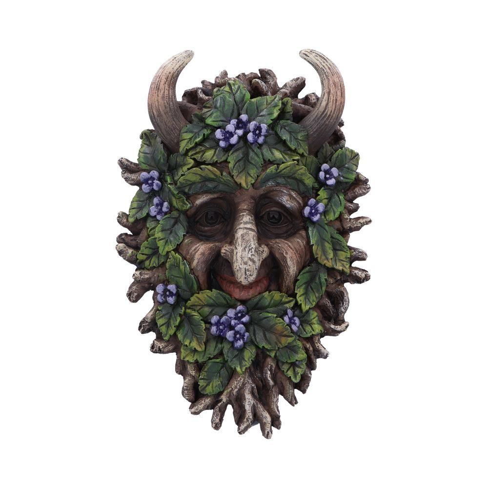 Green Man Wall Plaques Wall Art Garden Decor Tree Spirit Man Of The Forest Pagan - Alder 20.2cm