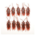 Fake Cockroach Joke Prop Gag Cockroaches Insect Plastic Bug Toy Prank