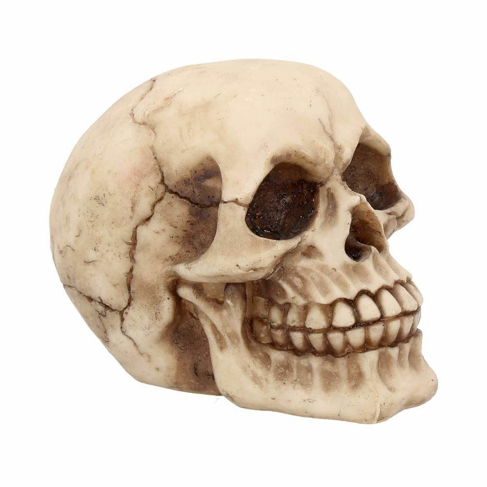 Skull Gothic Skeleton Head Ornament Figurine Home Gift Nemesis Now - Joker 12cm