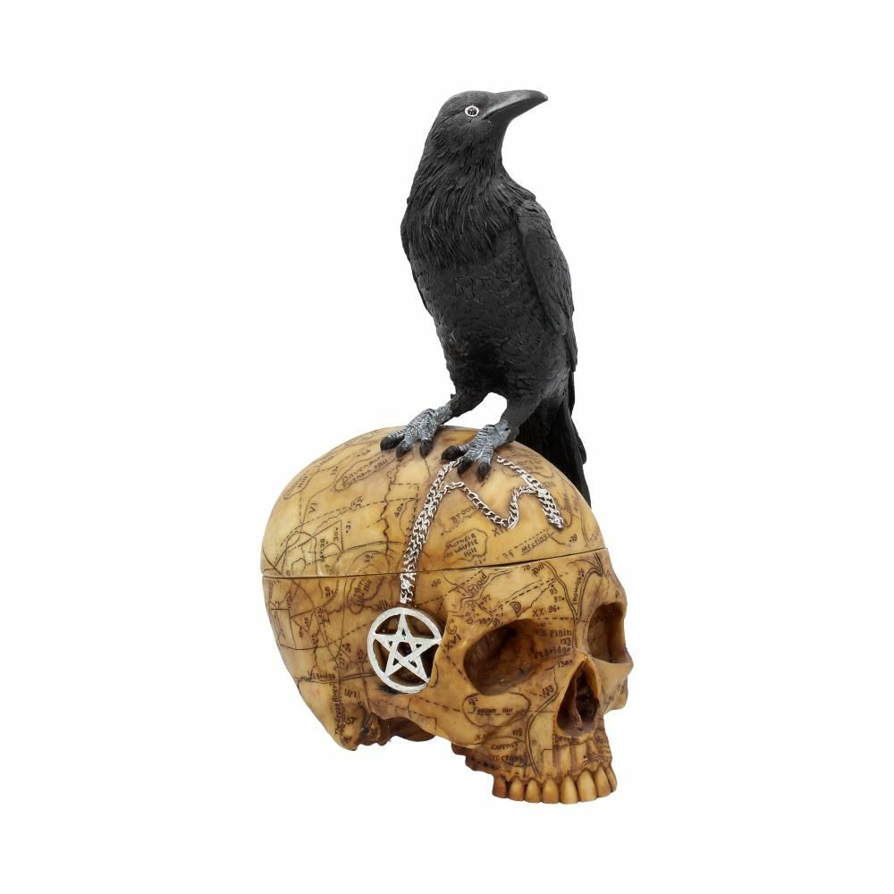 Raven Crow Black Bird Ornament Gothic Edgar Allan Poe Figurine Boxed Gift - Salem's Familiar - Box 27cm