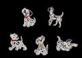 Dog Buttons Embellishments Scrapbook Craft Customise Clothing DIY Garment Gift - Dalmatian