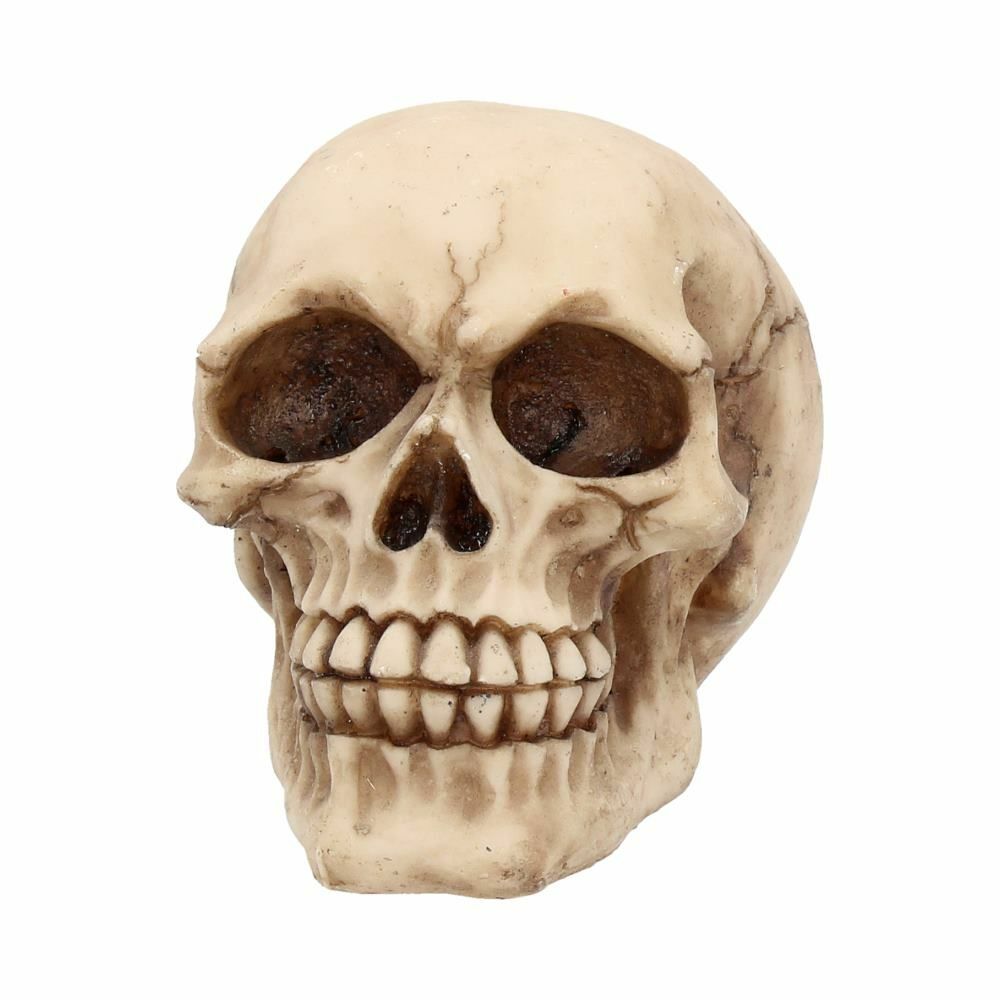 Skull Gothic Skeleton Head Ornament Figurine Home Gift Nemesis Now
