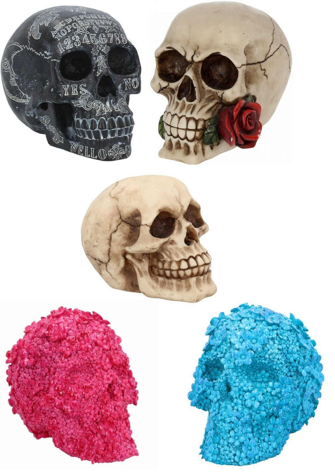 Skull Gothic Skeleton Head Ornament Figurine Home Gift Nemesis Now