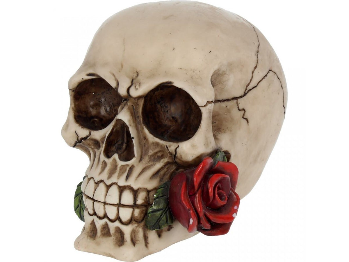 Skull Gothic Skeleton Head Ornament Figurine Home Gift Nemesis Now - Rose From the Dead 15cm